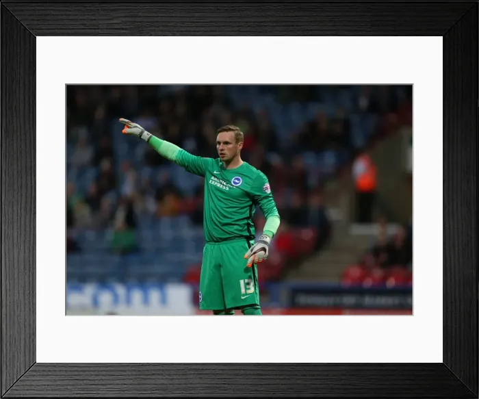 Framed Print : Brighton and Hove Albion vs. Huddersfield Town: Sky Bet Championship Showdown at John Smiths Stadium (August 18, 2015) Framed Print : Brighton and Hove Albion vs. Huddersfield Town: Sky Bet Championship Showdown at John Smiths Stadium (August 18, 2015)