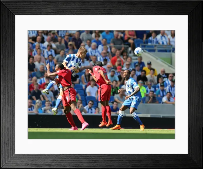 Framed Print : Brighton and Hove Albion vs. Blackburn Rovers: Sky Bet Championship Showdown at American Express Community Stadium (August 22, 2015) Framed Print : Brighton and Hove Albion vs. Blackburn Rovers: Sky Bet Championship Showdown at American Express Community Stadium (August 22, 2015)