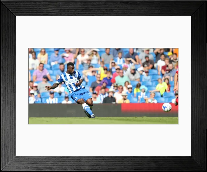 Framed Print : Brighton and Hove Albion vs. Blackburn Rovers: Sky Bet Championship Showdown at American Express Community Stadium (August 22, 2015) Framed Print : Brighton and Hove Albion vs. Blackburn Rovers: Sky Bet Championship Showdown at American Express Community Stadium (August 22, 2015)
