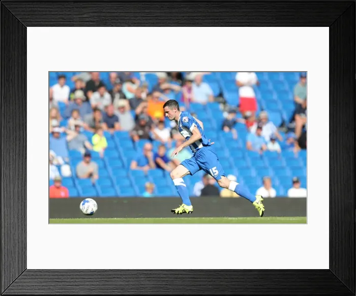 Framed Print : Brighton and Hove Albion vs. Blackburn Rovers: Sky Bet Championship Showdown at American Express Community Stadium (August 22, 2015) Framed Print : Brighton and Hove Albion vs. Blackburn Rovers: Sky Bet Championship Showdown at American Express Community Stadium (August 22, 2015)