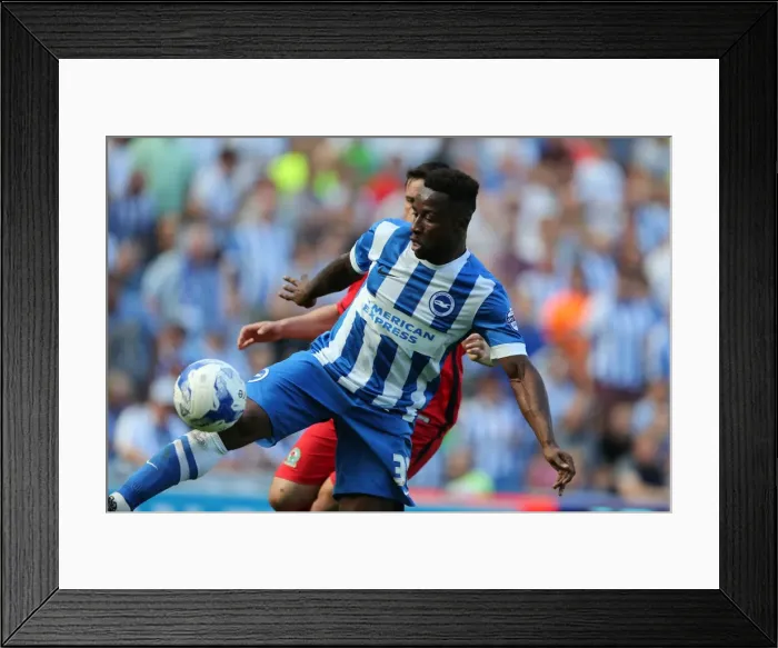 Framed Print : Brighton and Hove Albion vs. Blackburn Rovers: Sky Bet Championship Showdown at American Express Community Stadium (August 22, 2015)