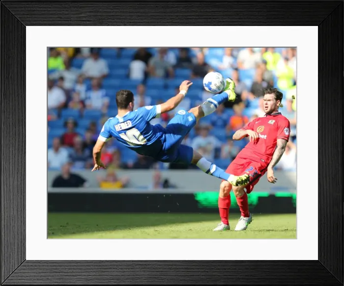 Framed Print : Brighton and Hove Albion vs. Blackburn Rovers: Sky Bet Championship Showdown at American Express Community Stadium (August 22, 2015) Framed Print : Brighton and Hove Albion vs. Blackburn Rovers: Sky Bet Championship Showdown at American Express Community Stadium (August 22, 2015)