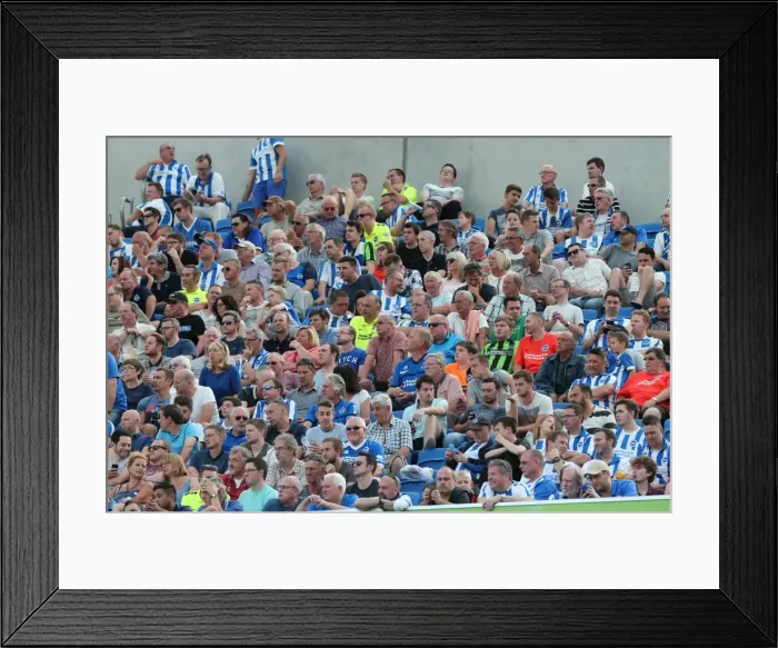 Framed Print : Brighton and Hove Albion vs. Blackburn Rovers: Sky Bet Championship Showdown at American Express Community Stadium (August 22, 2015) Framed Print : Brighton and Hove Albion vs. Blackburn Rovers: Sky Bet Championship Showdown at American Express Community Stadium (August 22, 2015)