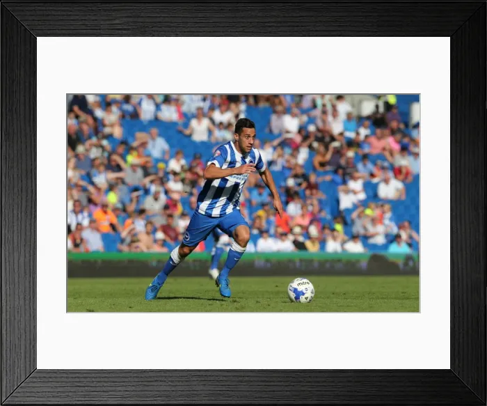 Framed Print : Brighton and Hove Albion vs. Blackburn Rovers: Sky Bet Championship Showdown at American Express Community Stadium (August 22, 2015) Framed Print : Brighton and Hove Albion vs. Blackburn Rovers: Sky Bet Championship Showdown at American Express Community Stadium (August 22, 2015)