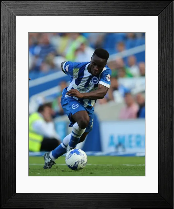 Framed Print : Brighton and Hove Albion vs. Blackburn Rovers: Sky Bet Championship Showdown at American Express Community Stadium (August 22, 2015) Framed Print : Brighton and Hove Albion vs. Blackburn Rovers: Sky Bet Championship Showdown at American Express Community Stadium (August 22, 2015)