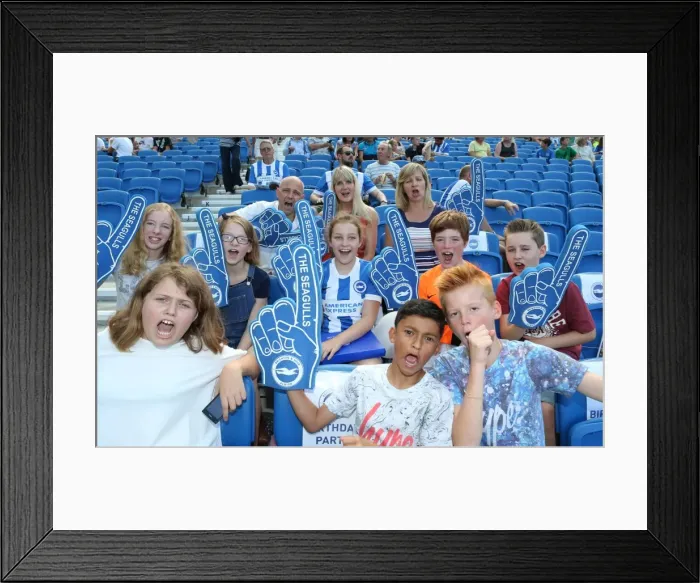 Framed Print : Brighton and Hove Albion vs. Blackburn Rovers: Sky Bet Championship Showdown at American Express Community Stadium (August 22, 2015) Framed Print : Brighton and Hove Albion vs. Blackburn Rovers: Sky Bet Championship Showdown at American Express Community Stadium (August 22, 2015)