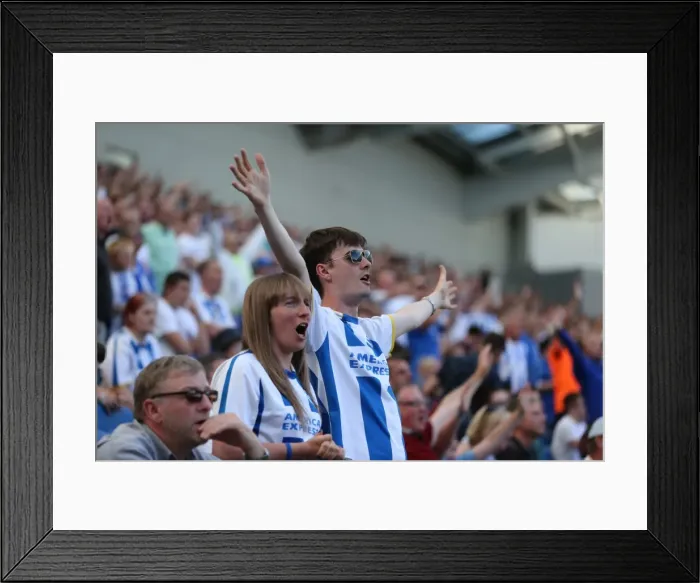 Framed Print : Brighton and Hove Albion vs. Blackburn Rovers: Sky Bet Championship Showdown at American Express Community Stadium (August 22, 2015) Framed Print : Brighton and Hove Albion vs. Blackburn Rovers: Sky Bet Championship Showdown at American Express Community Stadium (August 22, 2015)