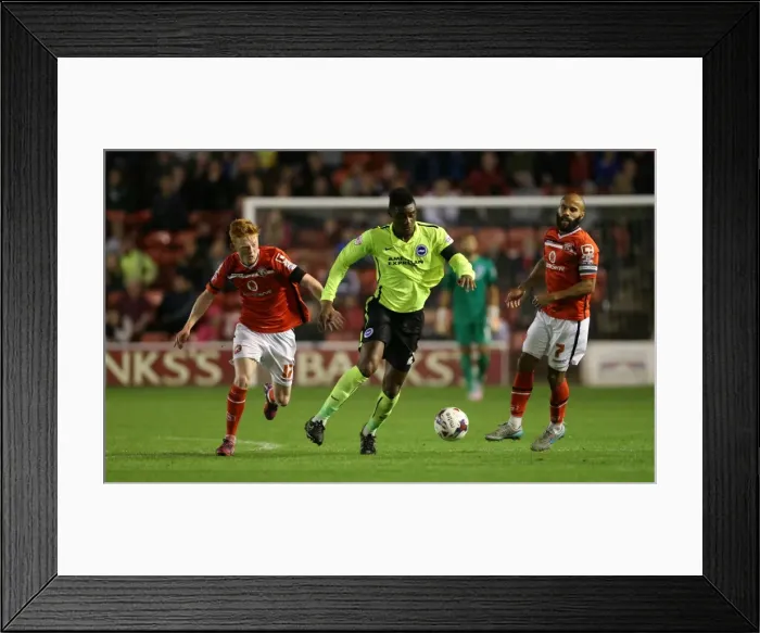 Framed Print : Brighton and Hove Albion vs. Walsall: Capital One Cup Clash at Bescot Stadium (25AUG15) Framed Print : Brighton and Hove Albion vs. Walsall: Capital One Cup Clash at Bescot Stadium (25AUG15)