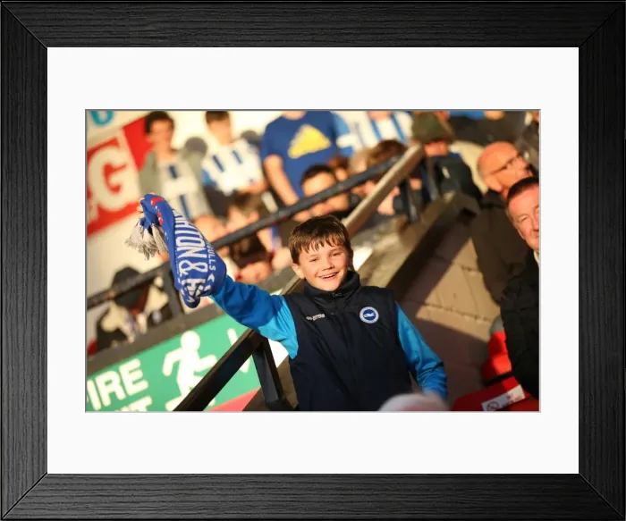 Framed Print : Capital One Cup: Walsall vs. Brighton & Hove Albion at Bescot Stadium (25 / 08 / 2015) Framed Print : Capital One Cup: Walsall vs. Brighton & Hove Albion at Bescot Stadium (25 / 08 / 2015)