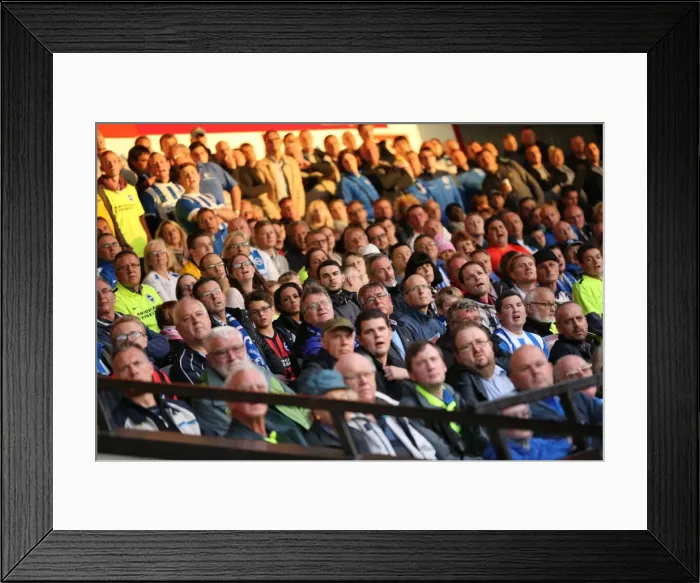 Framed Print : Brighton and Hove Albion vs. Walsall: Capital One Cup Clash at Bescot Stadium (25AUG15) Framed Print : Brighton and Hove Albion vs. Walsall: Capital One Cup Clash at Bescot Stadium (25AUG15)