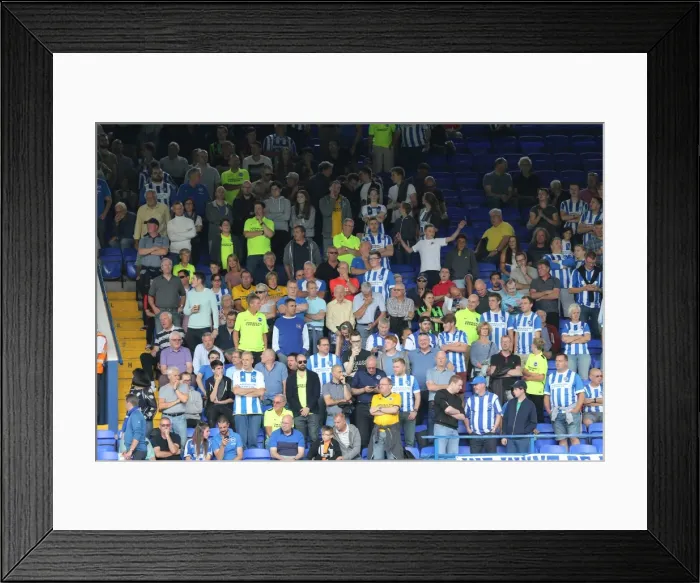 Framed Print : Brighton and Hove Albion Fans Passionate Showdown at Ipswich Town Championship Game, August 2015 Framed Print : Brighton and Hove Albion Fans Passionate Showdown at Ipswich Town Championship Game, August 2015