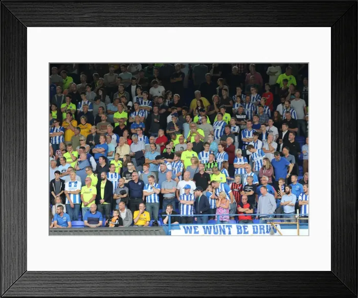 Framed Print : Brighton and Hove Albion Fans in Full Swing at Ipswich Town Championship Clash, August 2015 Framed Print : Brighton and Hove Albion Fans in Full Swing at Ipswich Town Championship Clash, August 2015