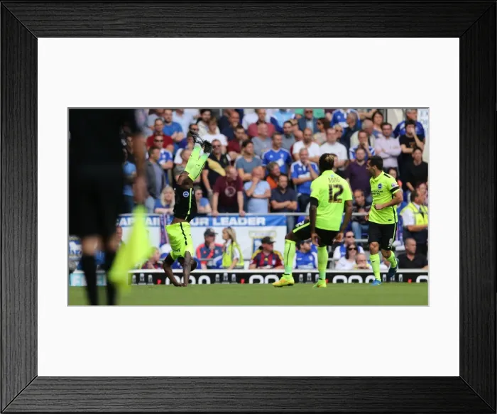 Framed Print : Brighton's Kazenga LuaLua Scores Dramatic Goal and Celebrates with a Somersault in Ipswich Town Clash (28 / 08 / 2015) Framed Print : Brighton's Kazenga LuaLua Scores Dramatic Goal and Celebrates with a Somersault in Ipswich Town Clash (28 / 08 / 2015)