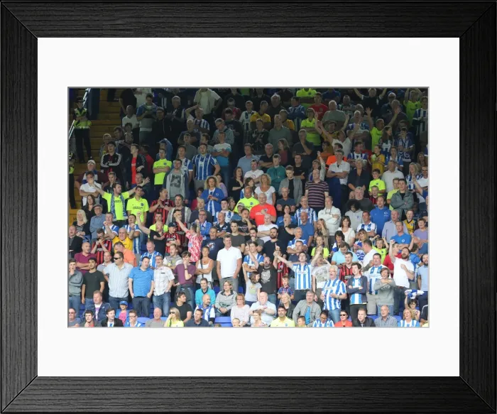Framed Print : Brighton and Hove Albion Fans in Full Swing at Ipswich Town Championship Match, August 2015 Framed Print : Brighton and Hove Albion Fans in Full Swing at Ipswich Town Championship Match, August 2015
