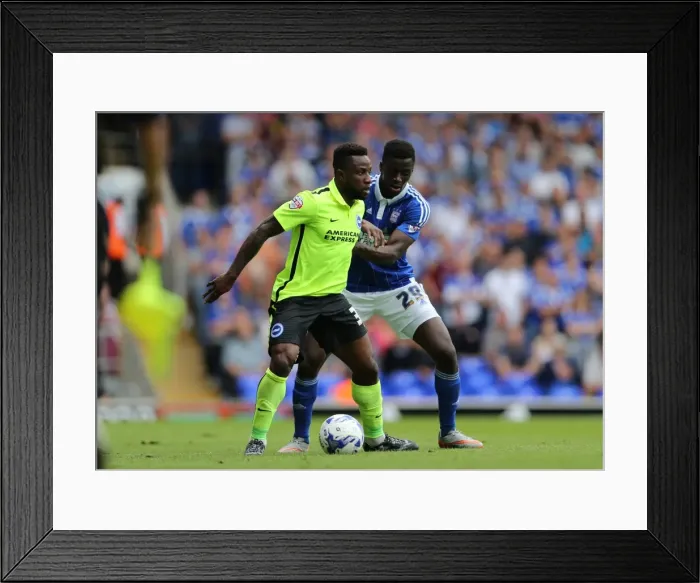 Framed Print : Kazenga LuaLua: In Action for Brighton & Hove Albion vs. Ipswich Town, Sky Bet Championship (28.08.2015) Framed Print : Kazenga LuaLua: In Action for Brighton & Hove Albion vs. Ipswich Town, Sky Bet Championship (28.08.2015)
