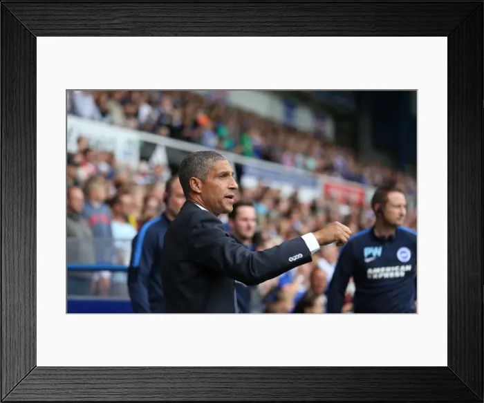 Framed Print : Chris Hughton Leads Brighton and Hove Albion in Ipswich Town Clash, Sky Bet Championship 2015 Framed Print : Chris Hughton Leads Brighton and Hove Albion in Ipswich Town Clash, Sky Bet Championship 2015