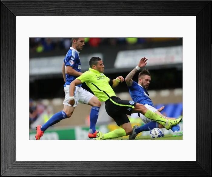 Framed Print : Brighton and Hove Albion's Tomer Hemed Scores Dramatic Goal: 3-2 Lead over Ipswich Town (Sky Bet Championship, 28 Aug 2015) Framed Print : Brighton and Hove Albion's Tomer Hemed Scores Dramatic Goal: 3-2 Lead over Ipswich Town (Sky Bet Championship, 28 Aug 2015)