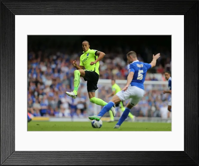 Framed Print : Bobby Zamora Makes Brighton Debut: Ipswich Town vs. Brighton and Hove Albion, Sky Bet Championship (28.08.2015) Framed Print : Bobby Zamora Makes Brighton Debut: Ipswich Town vs. Brighton and Hove Albion, Sky Bet Championship (28.08.2015)