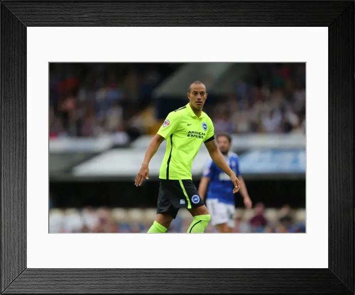 Framed Print : Bobby Zamora Debuts for Brighton and Hove Albion against Ipswich Town in Sky Bet Championship (28 / 08 / 2015) Framed Print : Bobby Zamora Debuts for Brighton and Hove Albion against Ipswich Town in Sky Bet Championship (28 / 08 / 2015)