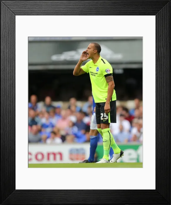 Framed Print : Bobby Zamora Makes Debut: Ipswich Town vs. Brighton & Hove Albion, Sky Bet Championship (28 / 08 / 2015) Framed Print : Bobby Zamora Makes Debut: Ipswich Town vs. Brighton & Hove Albion, Sky Bet Championship (28 / 08 / 2015)