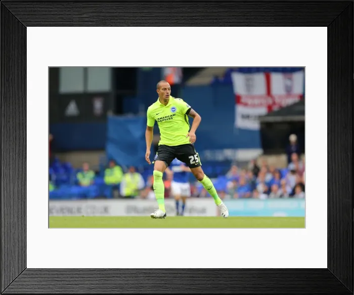 Framed Print : Bobby Zamora Makes Brighton Debut: Ipswich Town vs. Brighton and Hove Albion, Sky Bet Championship (28 / 08 / 2015) Framed Print : Bobby Zamora Makes Brighton Debut: Ipswich Town vs. Brighton and Hove Albion, Sky Bet Championship (28 / 08 / 2015)