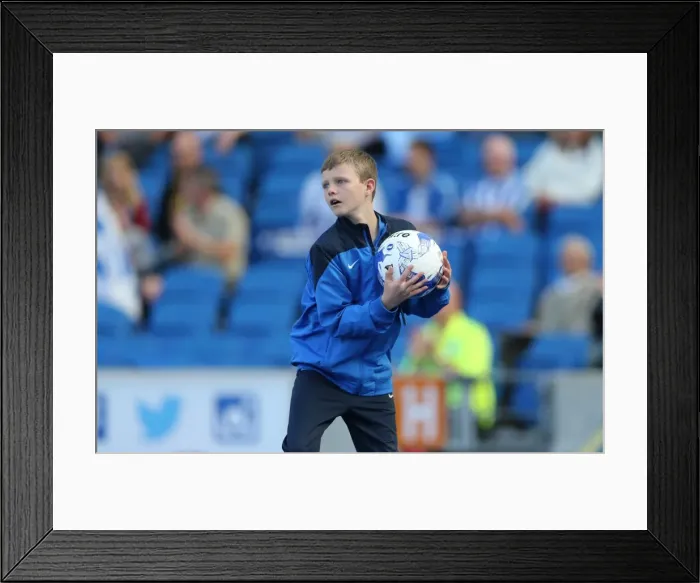 Framed Print : Brighton and Hove Albion vs. Hull City: Sky Bet Championship Showdown at American Express Community Stadium (September 12, 2015) Framed Print : Brighton and Hove Albion vs. Hull City: Sky Bet Championship Showdown at American Express Community Stadium (September 12, 2015)