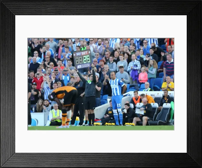 Framed Print : Brighton and Hove Albion vs. Hull City: Sky Bet Championship Showdown at American Express Community Stadium (September 12, 2015) Framed Print : Brighton and Hove Albion vs. Hull City: Sky Bet Championship Showdown at American Express Community Stadium (September 12, 2015)