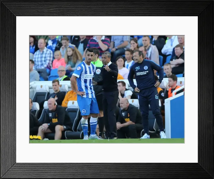 Framed Print : Brighton and Hove Albion vs Hull City: Sky Bet Championship Showdown at American Express Community Stadium (September 12, 2015) Framed Print : Brighton and Hove Albion vs Hull City: Sky Bet Championship Showdown at American Express Community Stadium (September 12, 2015)