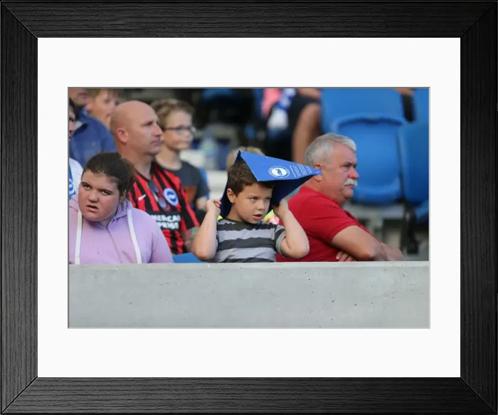 Framed Print : Brighton and Hove Albion vs. Hull City: Sky Bet Championship Showdown at American Express Community Stadium (September 12, 2015) Framed Print : Brighton and Hove Albion vs. Hull City: Sky Bet Championship Showdown at American Express Community Stadium (September 12, 2015)