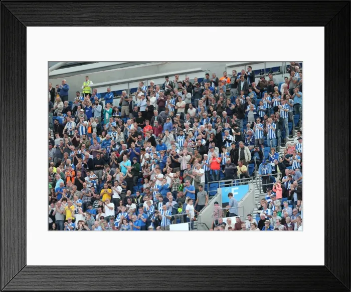 Framed Print : Brighton and Hove Albion vs. Hull City: Sky Bet Championship Showdown at American Express Community Stadium (September 12, 2015) Framed Print : Brighton and Hove Albion vs. Hull City: Sky Bet Championship Showdown at American Express Community Stadium (September 12, 2015)