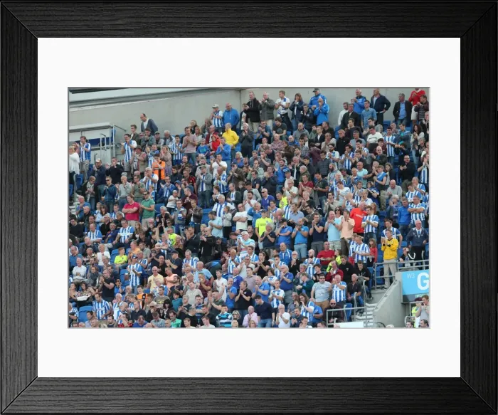 Framed Print : Brighton and Hove Albion vs. Hull City: Sky Bet Championship Showdown at American Express Community Stadium (September 12, 2015) Framed Print : Brighton and Hove Albion vs. Hull City: Sky Bet Championship Showdown at American Express Community Stadium (September 12, 2015)
