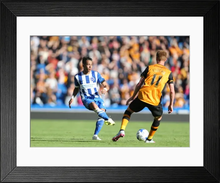 Framed Print : Brighton and Hove Albion vs Hull City: Sky Bet Championship Showdown at American Express Community Stadium (September 12, 2015) Framed Print : Brighton and Hove Albion vs Hull City: Sky Bet Championship Showdown at American Express Community Stadium (September 12, 2015)