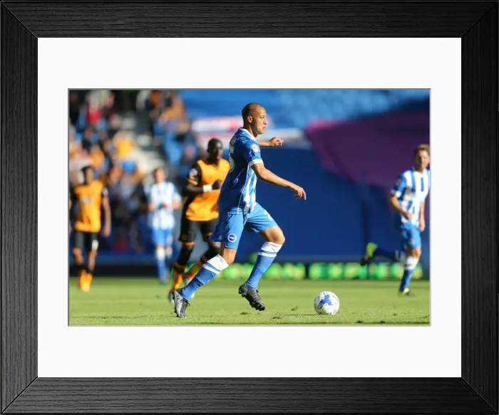 Framed Print : Brighton and Hove Albion vs. Hull City: Sky Bet Championship Showdown at American Express Community Stadium (September 12, 2015) Framed Print : Brighton and Hove Albion vs. Hull City: Sky Bet Championship Showdown at American Express Community Stadium (September 12, 2015)