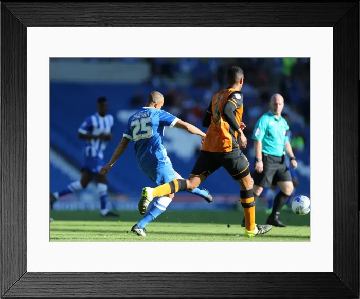 Framed Print : Brighton and Hove Albion vs. Hull City: Sky Bet Championship Showdown at American Express Community Stadium (September 12, 2015) Framed Print : Brighton and Hove Albion vs. Hull City: Sky Bet Championship Showdown at American Express Community Stadium (September 12, 2015)