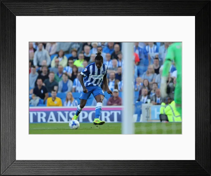 Framed Print : Brighton and Hove Albion vs. Hull City: Sky Bet Championship Showdown at American Express Community Stadium (September 12, 2015) Framed Print : Brighton and Hove Albion vs. Hull City: Sky Bet Championship Showdown at American Express Community Stadium (September 12, 2015)