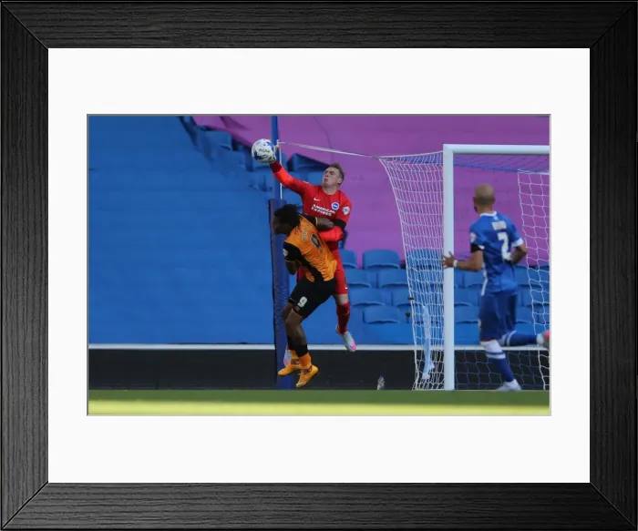 Framed Print : Brighton and Hove Albion vs. Hull City: Sky Bet Championship Showdown at American Express Community Stadium (September 12, 2015) Framed Print : Brighton and Hove Albion vs. Hull City: Sky Bet Championship Showdown at American Express Community Stadium (September 12, 2015)