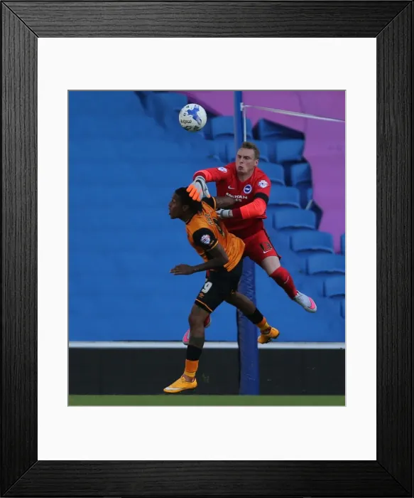 Framed Print : Brighton and Hove Albion vs. Hull City: Sky Bet Championship Showdown at American Express Community Stadium (September 12, 2015) Framed Print : Brighton and Hove Albion vs. Hull City: Sky Bet Championship Showdown at American Express Community Stadium (September 12, 2015)