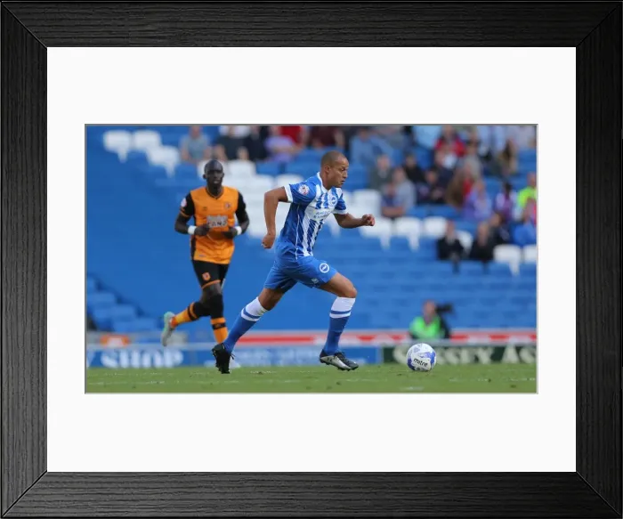 Framed Print : Brighton and Hove Albion vs. Hull City: Sky Bet Championship Showdown at American Express Community Stadium (September 12, 2015)