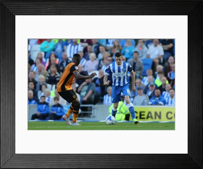 Framed Print : Brighton and Hove Albion vs. Hull City: Sky Bet Championship Showdown at American Express Community Stadium (September 12, 2015) Framed Print : Brighton and Hove Albion vs. Hull City: Sky Bet Championship Showdown at American Express Community Stadium (September 12, 2015)