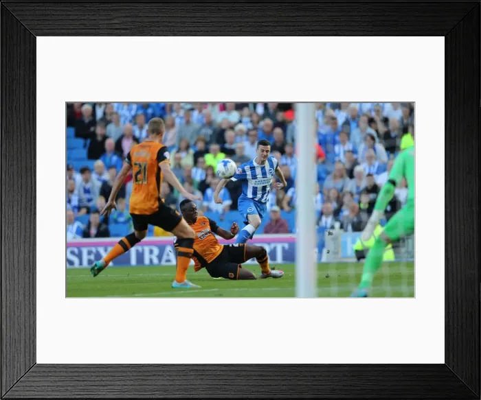 Framed Print : Brighton and Hove Albion vs. Hull City: Sky Bet Championship Showdown at American Express Community Stadium (September 12, 2015) Framed Print : Brighton and Hove Albion vs. Hull City: Sky Bet Championship Showdown at American Express Community Stadium (September 12, 2015)