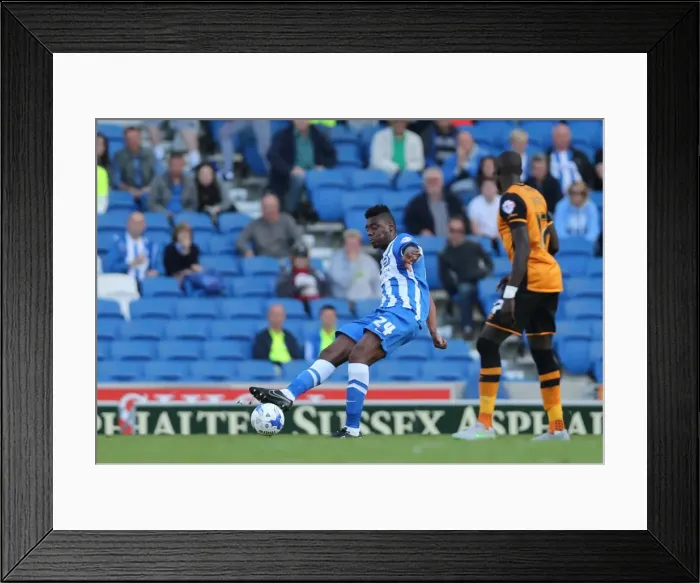 Framed Print : Brighton and Hove Albion vs. Hull City: Sky Bet Championship Showdown at American Express Community Stadium (September 12, 2015) Framed Print : Brighton and Hove Albion vs. Hull City: Sky Bet Championship Showdown at American Express Community Stadium (September 12, 2015)