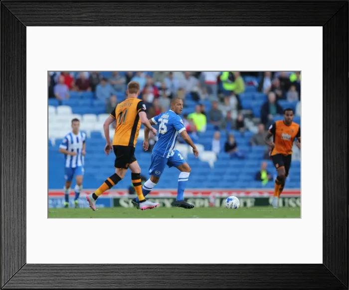 Framed Print : Brighton and Hove Albion vs Hull City: Sky Bet Championship Showdown at American Express Community Stadium (September 12, 2015) Framed Print : Brighton and Hove Albion vs Hull City: Sky Bet Championship Showdown at American Express Community Stadium (September 12, 2015)