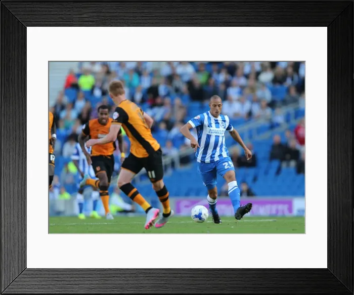 Framed Print : Brighton and Hove Albion vs Hull City: Sky Bet Championship Showdown at American Express Community Stadium (September 12, 2015) Framed Print : Brighton and Hove Albion vs Hull City: Sky Bet Championship Showdown at American Express Community Stadium (September 12, 2015)
