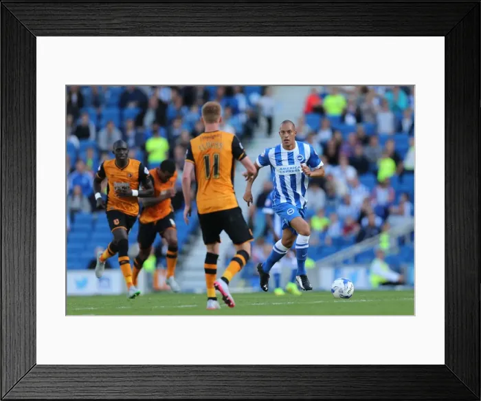 Framed Print : Brighton and Hove Albion vs. Hull City: Sky Bet Championship Showdown at American Express Community Stadium (September 12, 2015) Framed Print : Brighton and Hove Albion vs. Hull City: Sky Bet Championship Showdown at American Express Community Stadium (September 12, 2015)