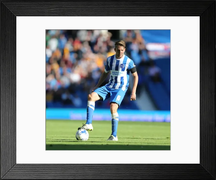 Framed Print : Brighton and Hove Albion vs. Hull City: Sky Bet Championship Showdown at American Express Community Stadium (September 12, 2015) Framed Print : Brighton and Hove Albion vs. Hull City: Sky Bet Championship Showdown at American Express Community Stadium (September 12, 2015)