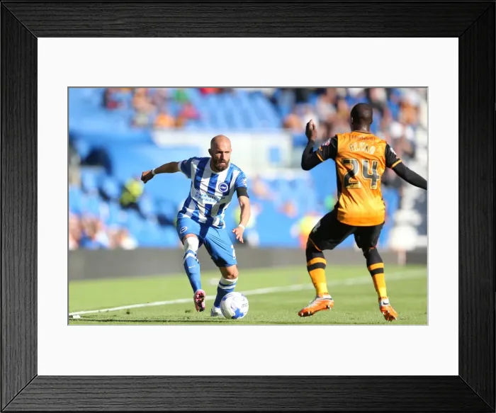 Framed Print : Brighton and Hove Albion vs. Hull City: Sky Bet Championship Showdown at American Express Community Stadium (September 12, 2015) Framed Print : Brighton and Hove Albion vs. Hull City: Sky Bet Championship Showdown at American Express Community Stadium (September 12, 2015)