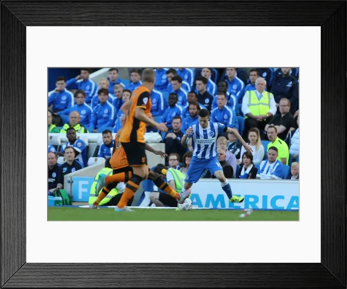 Framed Print : Brighton and Hove Albion vs. Hull City: Sky Bet Championship Showdown at American Express Community Stadium (September 12, 2015) Framed Print : Brighton and Hove Albion vs. Hull City: Sky Bet Championship Showdown at American Express Community Stadium (September 12, 2015)