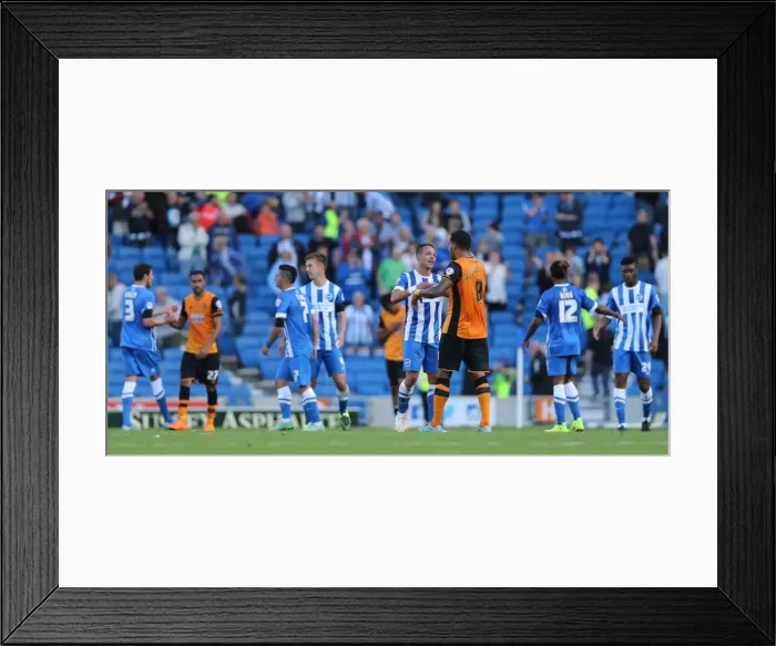 Framed Print : Brighton and Hove Albion vs. Hull City: Sky Bet Championship Showdown at American Express Community Stadium (September 12, 2015) Framed Print : Brighton and Hove Albion vs. Hull City: Sky Bet Championship Showdown at American Express Community Stadium (September 12, 2015)