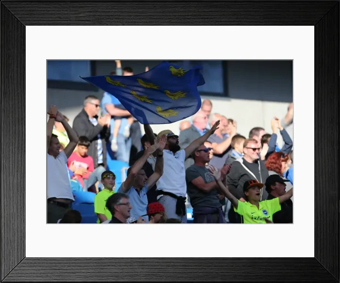 Framed Print : Brighton and Hove Albion vs. Hull City: Sky Bet Championship Showdown at American Express Community Stadium (September 12, 2015) Framed Print : Brighton and Hove Albion vs. Hull City: Sky Bet Championship Showdown at American Express Community Stadium (September 12, 2015)