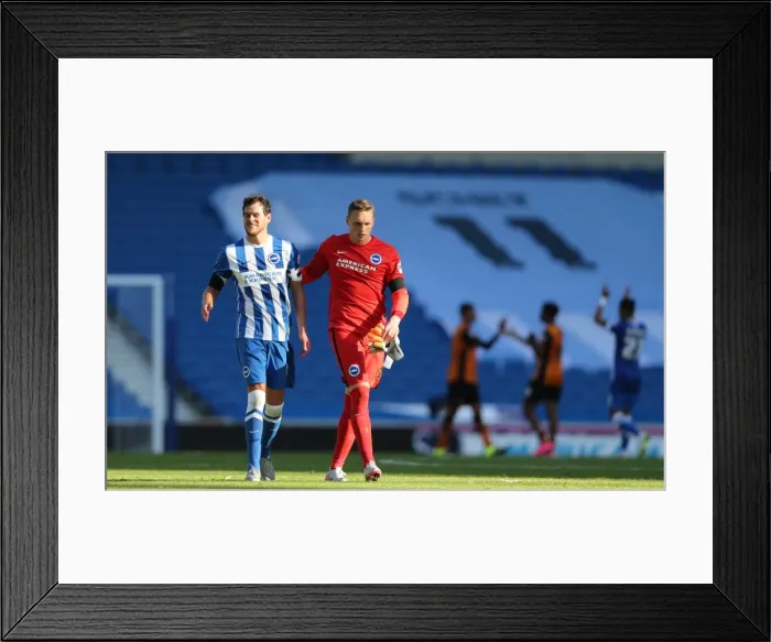 Framed Print : Intense Championship Showdown: Brighton and Hove Albion vs. Hull City (September 12, 2015) Framed Print : Intense Championship Showdown: Brighton and Hove Albion vs. Hull City (September 12, 2015)
